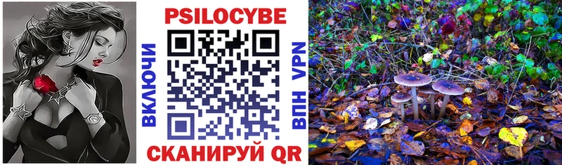 Купить закладки  Спасск  Псилоцибиновые грибы Psilocybe 
